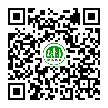 榆林林业